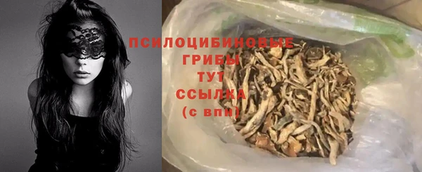 твердый Алексеевка