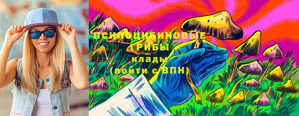 гашик Медвежьегорск