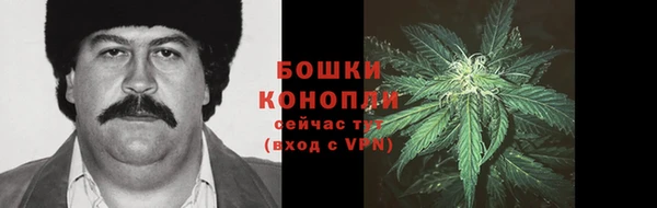 гашик Медвежьегорск