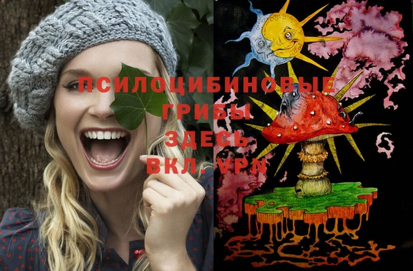 spice Алзамай